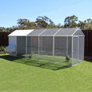 Chicken Palace with Large Extension