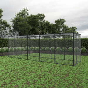 Dog Pavilion with Large Extension