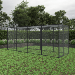 Cat Pavilion with Medium Extension