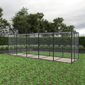 Parrot Pavilion with Large Extension